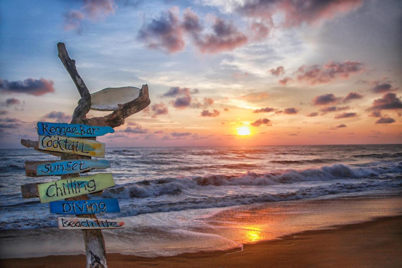 Backpack Beach Hostel & Reggae Bar Bussa 外观 照片